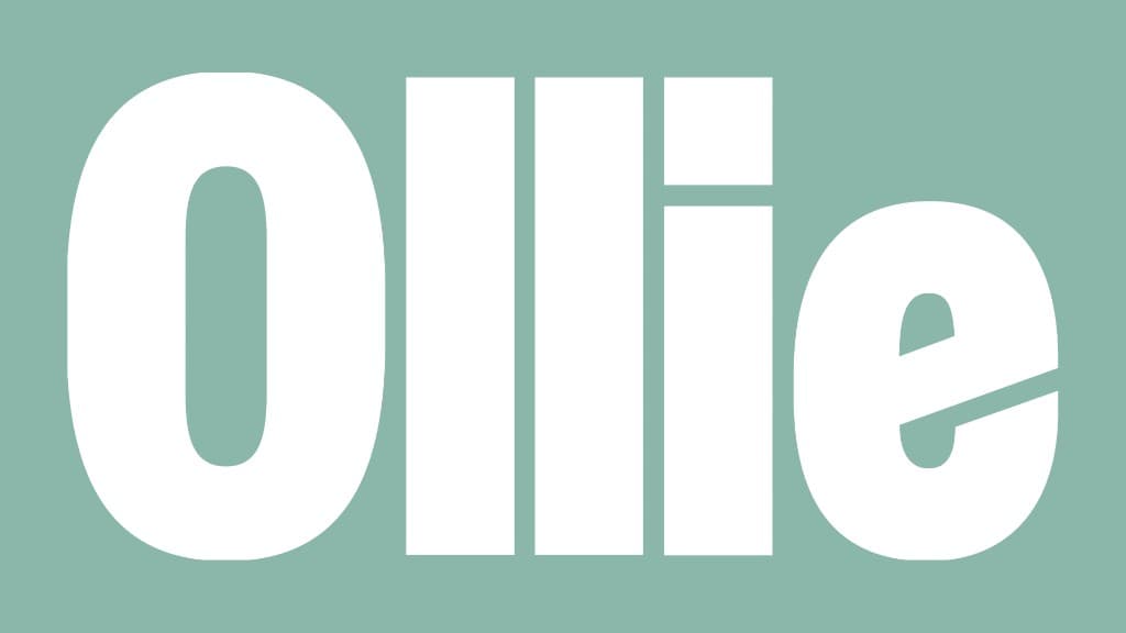 Fresh Dog Food Brand Ollie Acquired by Agrolimen